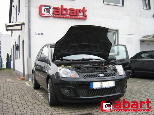 Ford Fiesta-1,4i