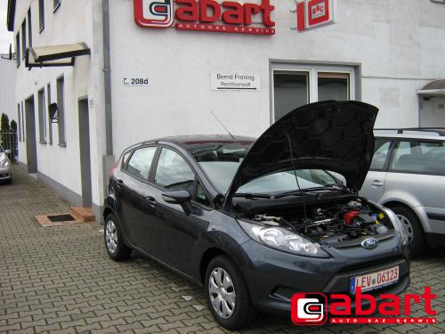 Ford Fiesta-1,2i-16v